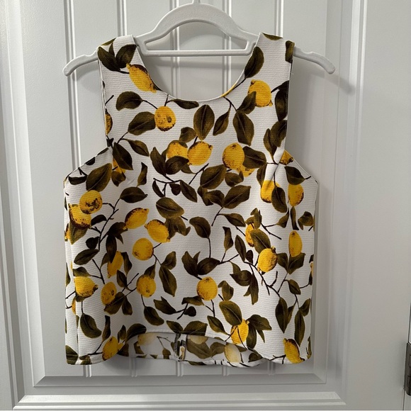Zara Tops - EUC Zara lemon print tank top